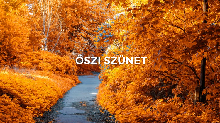 osziszunet